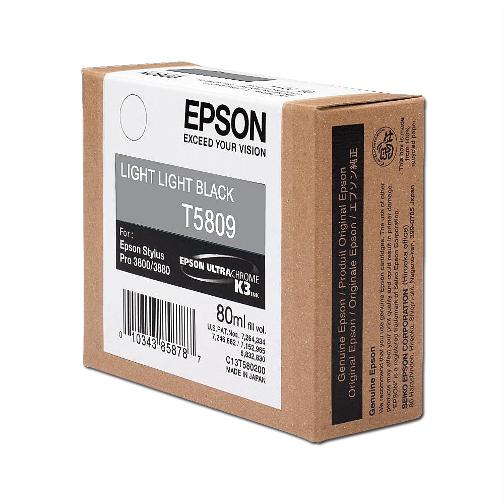 Tinteiro Cinzento Claro Epson Stylus Pro 3800